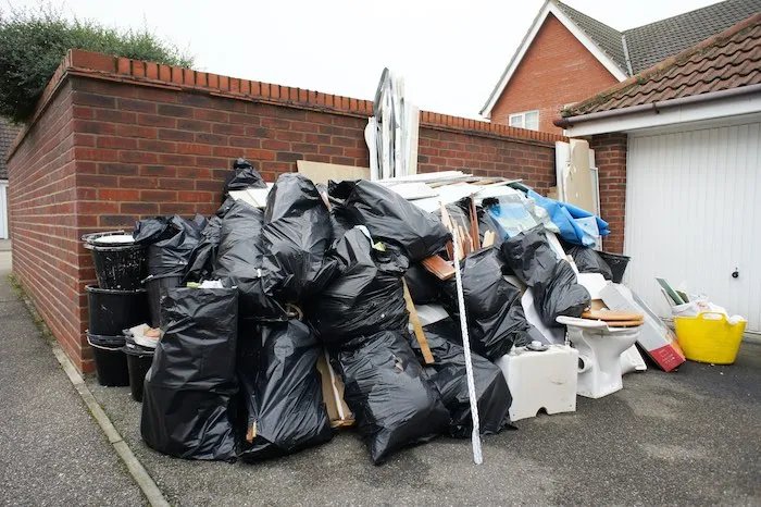 profesisonal garage cleanup services