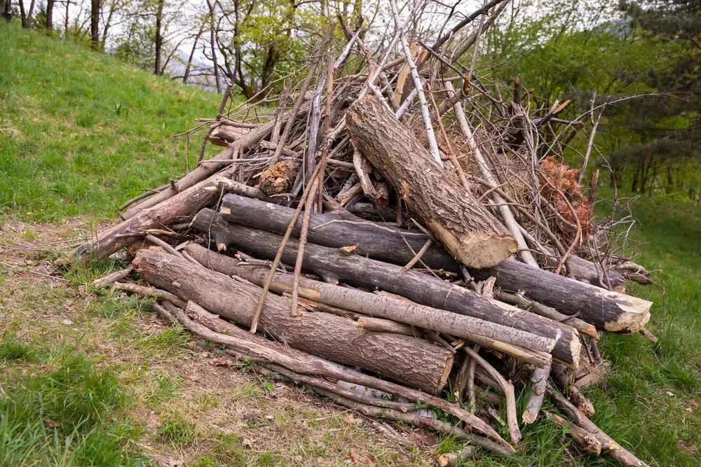 Yard Waste Removal in Lake Worth Beach, FL
